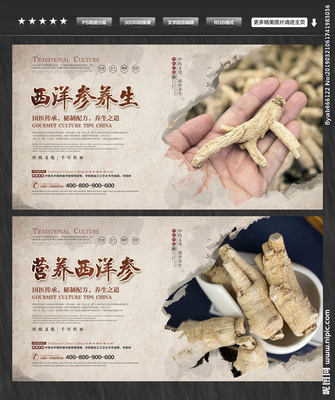 西洋参设计图__PSD分层素材_PSD分层素材_设计图库