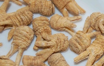 西洋参的功效与作用及食用方法_360问答