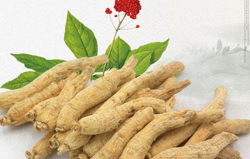 西洋参和三七混在一起,效果不得了