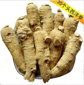 【洋参 人参】洋参 人参价格/图片_洋参 人参批发/采购_洋参 人参厂家/供应商
