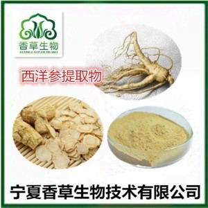 西洋参片