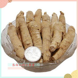长白山的小参童