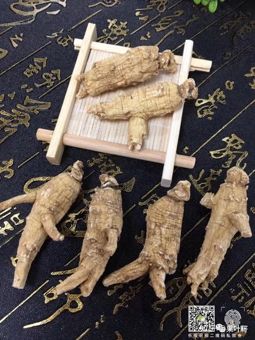 西洋参泡水喝的功效有哪些