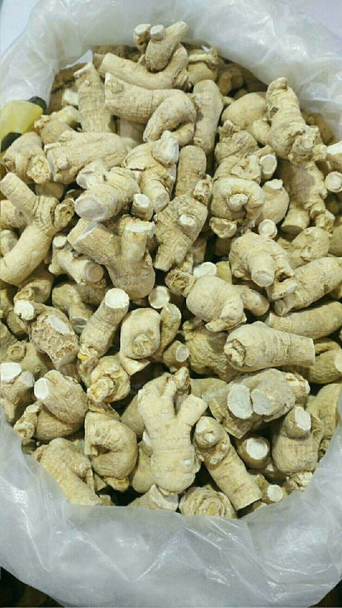 长白山小沈特产 人参 高丽参 西洋参有哪些区别 药效方面区别大吗