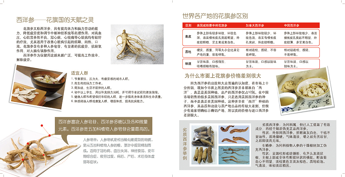 西洋参产品画册设计稿
