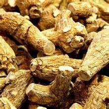 花旗参与西洋参的区别有哪些呢?