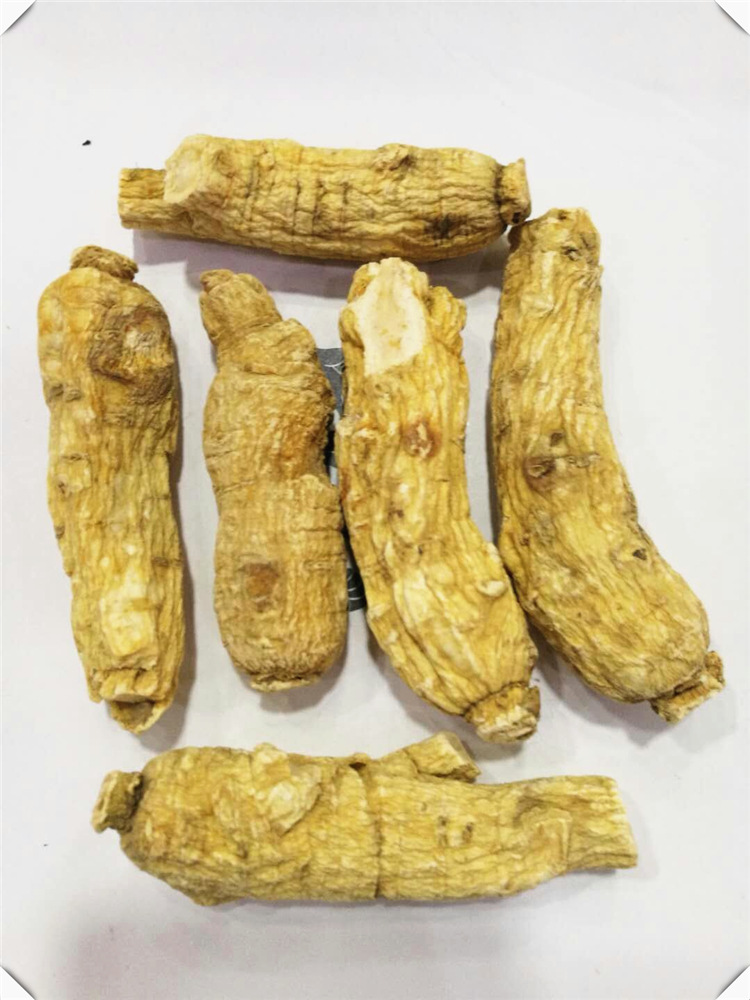 西洋参 花旗参 短枝 亳州中药材批发零售西洋参个