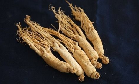 人参与西洋参可以互相代替吗 中医 1个去火,1个助火,效果不同