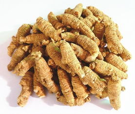 多数人不知道西洋参适合什么人吃 吃西洋参的最佳时间你清楚吗