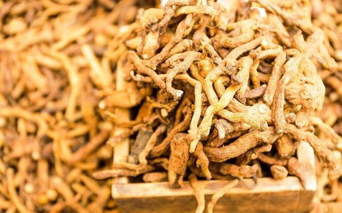 西洋参 人参对身体分别有哪些影响 5件事,要提前了解