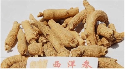 参这么多, 有人参、党参、太子参、西洋参的用处