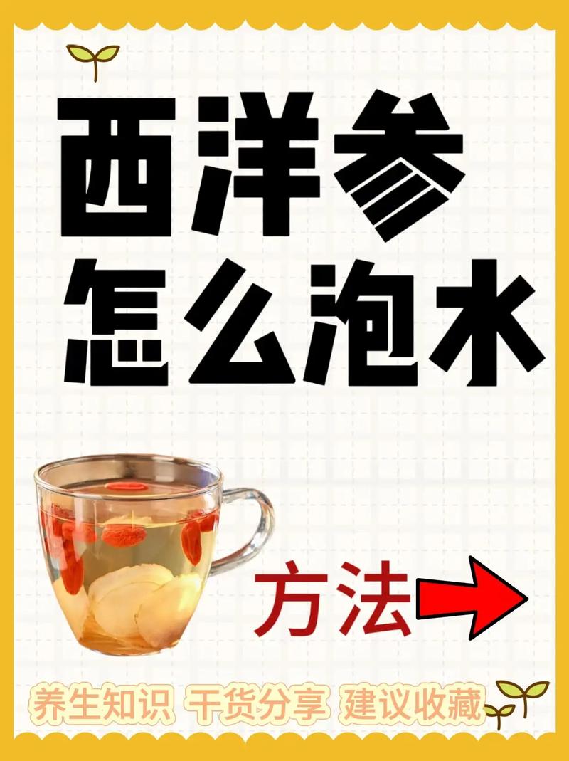 西洋参泡制秘籍,解锁你的养生新姿势!.益宝堂西洋