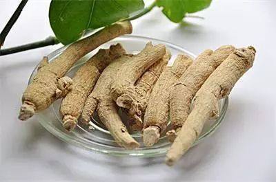 西洋参的具体功效及吃法