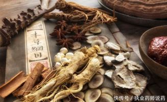 西洋参好还是人参好 现在终于有答案了