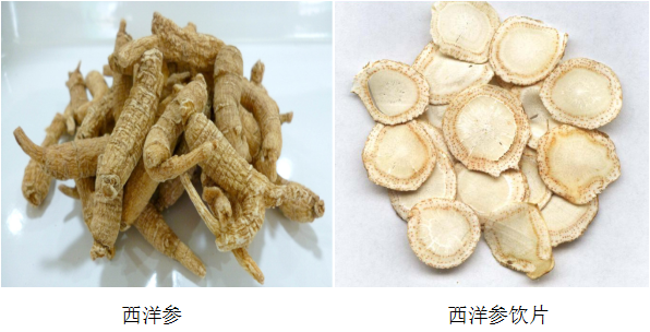 西洋参鉴别图文