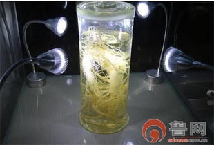 种西洋好参制中国好酒 他是金颐阳