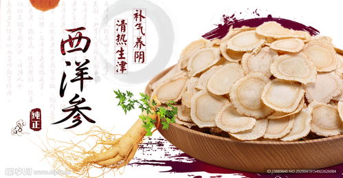 西洋参片设计图