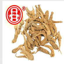 【野生西洋参】野生西洋参价格/图片_野生西洋参批发/采购_野生西洋参厂家/供应商