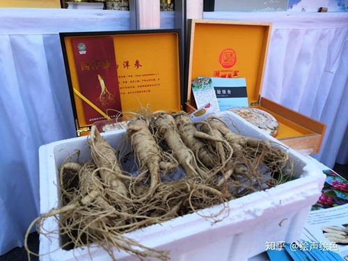 山东省一批地理标志产品走出山东走向世界