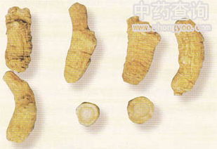 西洋参图片