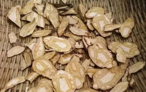 定了 大西北美食狂欢节暨名特优商品博览会,9月28日广安盛大开幕,文末有福利
