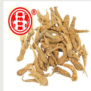 【野生西洋参】野生西洋参价格/图片_野生西洋参批发/采购_野生西洋参厂家/供应商