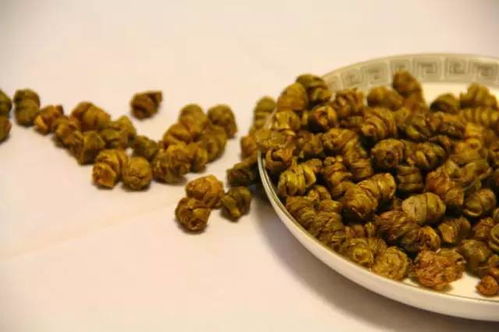肠胃不适血糖高，铁皮石斛与西洋参的黄金搭配