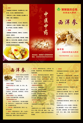 西洋参 自然的活力源泉
