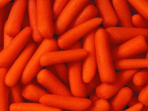 西洋参 食物与养生结合的珍贵食材