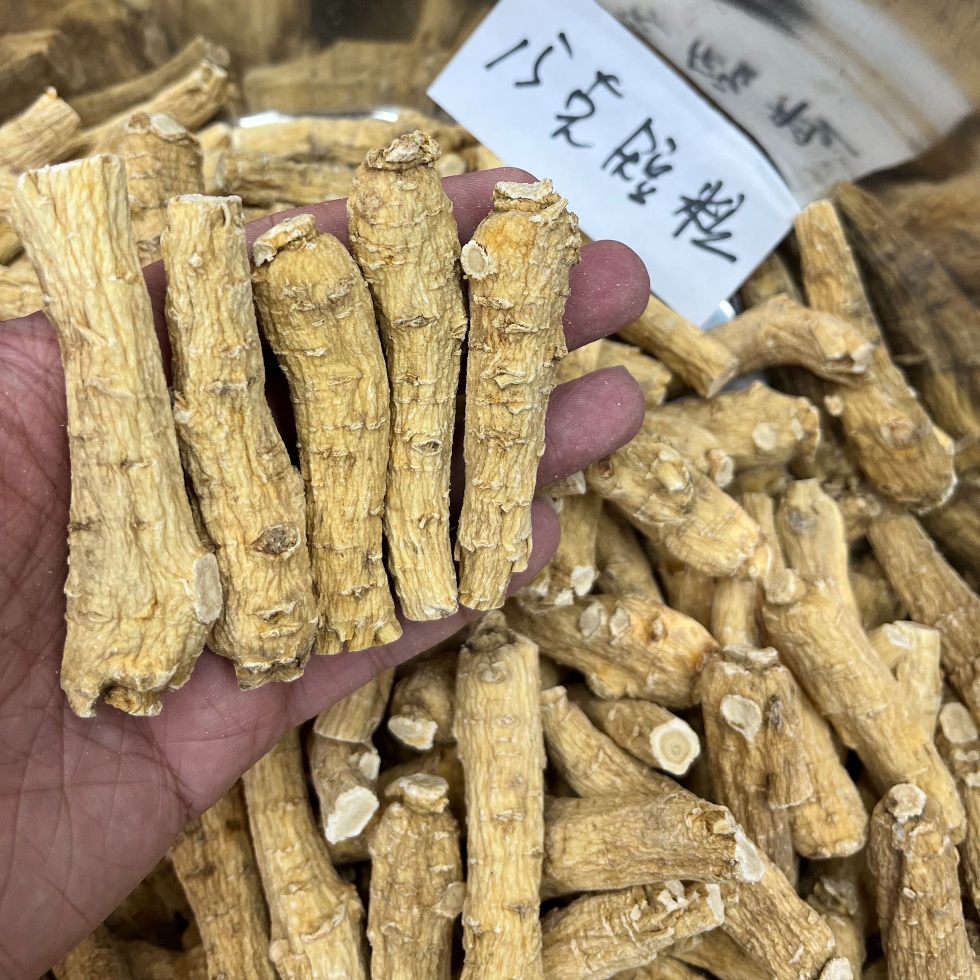 批发西洋参粒头整枝、西洋参条、西洋参片礼盒——东北吉林特产滋补珍品