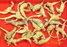 西洋参供应及其产业链解析