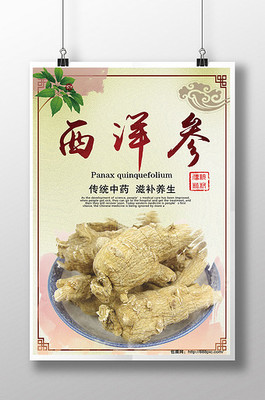 西洋参图片与西洋参的全面介绍