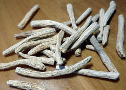 西洋参不能随便吃 为了健康，牢记这6个禁忌