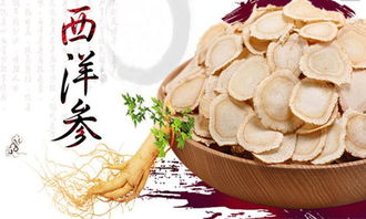 西洋参、三七、丹参、石斛——解析“四宝粉”的健康奥秘